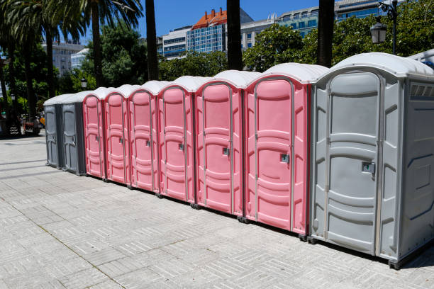 Types of Portable Toilets We Offer in Horseheads North, NY